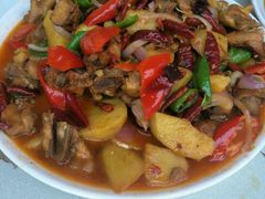 -新疆风味冷水鱼庄(友谊峰路店)