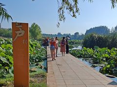 -前关湿地公园