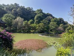 -云溪植物园