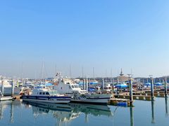 -巧克力渔家.小船海鲜胶东菜(万平口店)