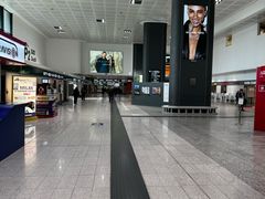 -米兰马尔彭萨国际机场