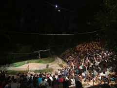 -夜间野生动物园
