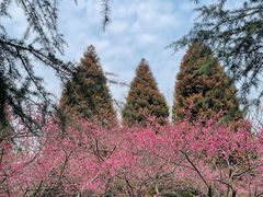 -白塘生态植物园