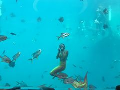 -瑞德姆美人鱼海底演艺主题餐厅(亚龙湾店)