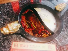 大骨鸳鸯锅-蜀大侠火锅(森兰花园城店)