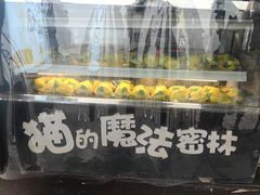 -猫的魔法密林(衣裳街店)