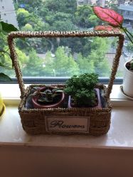 -久匠半永久纹眉