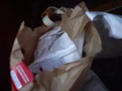 -枫花园汽车电影院(朝阳公园店)