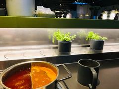 -壹小馆.皇城老妈(成都太古里店)