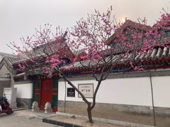 -北京湖广会馆