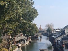 -西塘人家•黑金冠本地好店