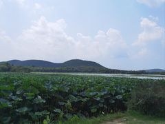 -云龙湖旅游景区