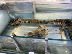 -川骄海鲜自助(河东店)