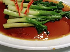 -席家花园(巨鹿花园店)