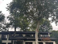 -杭州西湖柳莺里酒店·闻莺厅