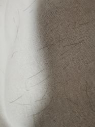 -茶发Salon·烫发染发理发