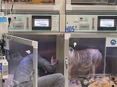 -北京派仕佳德动物医院·超导核磁·CT·神经科·骨科·内外科·急重症管理中心