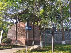 -桂湖森林公园