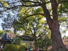 -惠山古镇·寄畅园