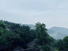 -中国茶叶博物馆(双峰馆区)