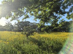 -普陀山雷迪森庄园