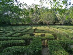 -广东茂名森林公园