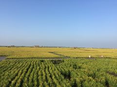 -红海滩国家风景廊道
