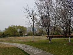 -南京航空航天大学(将军路校区)
