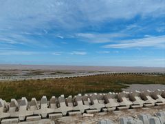 -南汇嘴观海公园