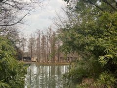 -西溪国家湿地公园