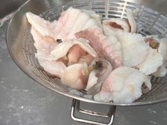 -源港渔村-中山脆肉鲩(博罗店)