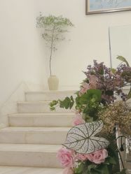 -尊尚柏丽美容SPA