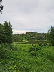 -佛灵湖水上乐园