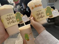 -猫的魔法密林(衣裳街店)