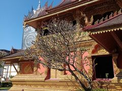 -西双版纳总佛寺