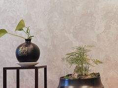 -石泉私宴