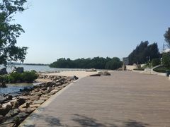 -宝安西湾红树林湿地公园