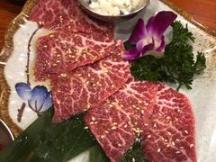-大阪烧肉BAKA一代(十亩地店)