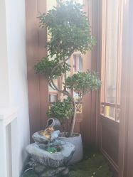 -禾壹净·素颜美问题肌肤修护中心