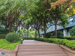 -金桥现代产业园区-停车场