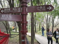 -微山湖红荷湿地景区