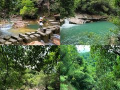 -广州白江湖森林公园