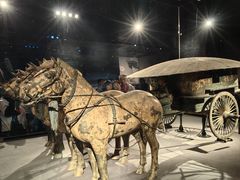 -秦始皇帝陵博物院-丽山园