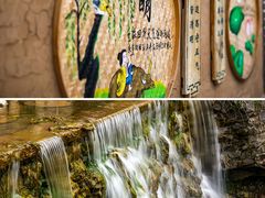 -莱阳濯村樱花园