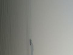 iphone_upload_pic-武清南湖绿博园