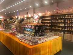 -猫咪博物馆(顶澳仔猫街店)