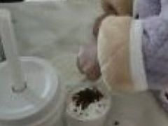 -卡旺卡(合肥瑶海保利广场店)