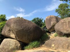 -火炉山森林公园