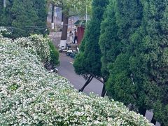 -四川大学(望江校区)