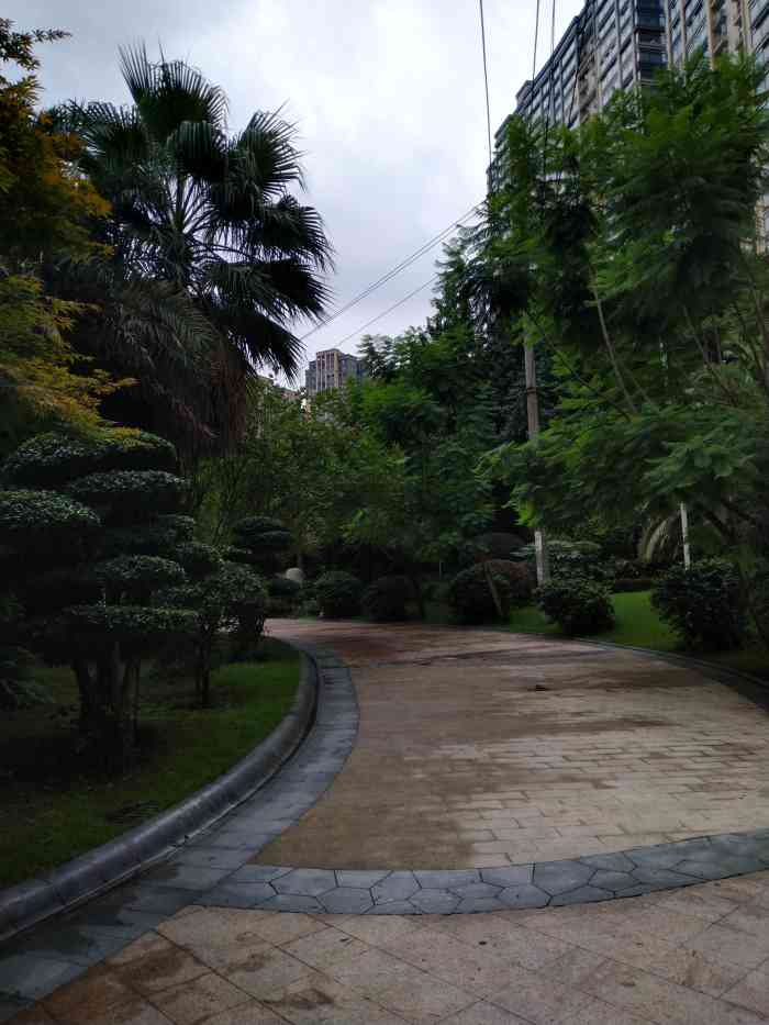 棕榈长滩-"温江区最贵的一个楼盘小姐姐在这个楼盘买.